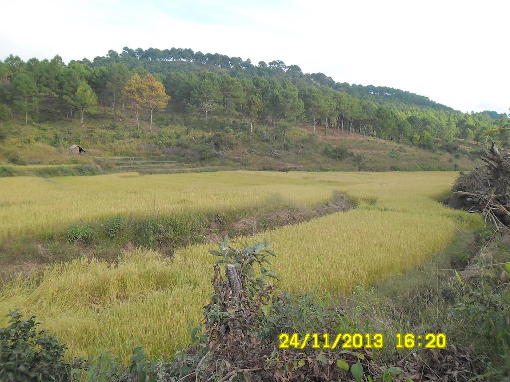 Pine Breeze Hotel Kalaw Bagian luar foto